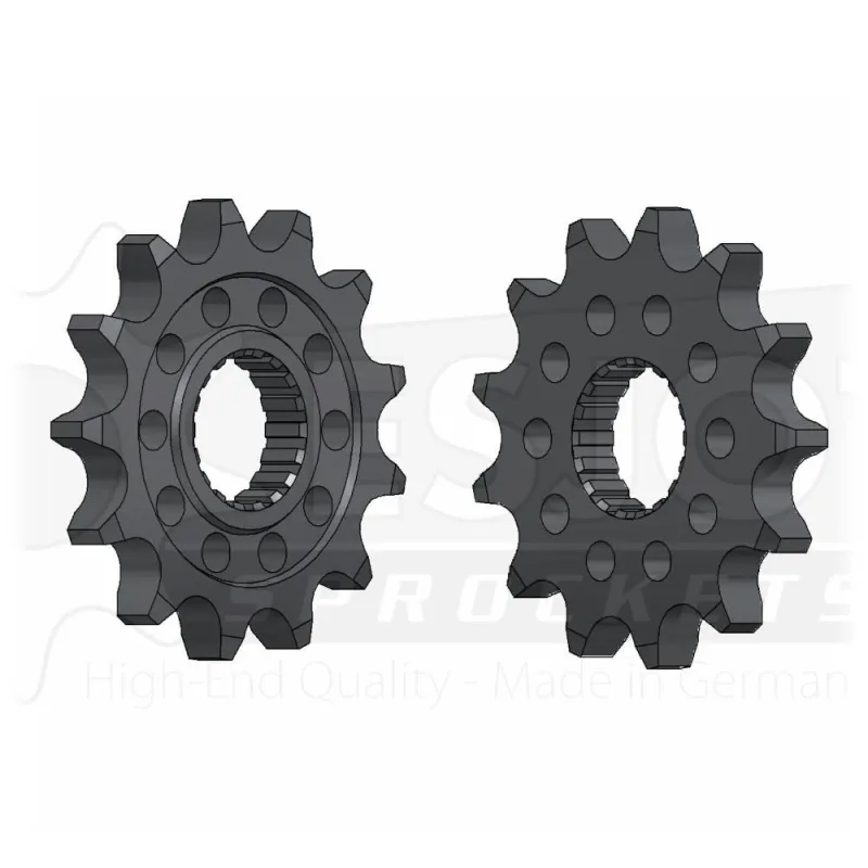 Pignone 13 Denti
