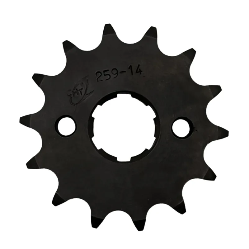 Pignone 15 Denti
