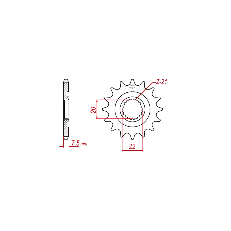Pignone TT Esjot Lightweight Pignone TT Esjot Lightweight