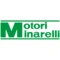 Kit trasmissione per MINARELLI