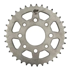 Corona 31 Denti
