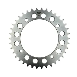 Corona 40 Denti