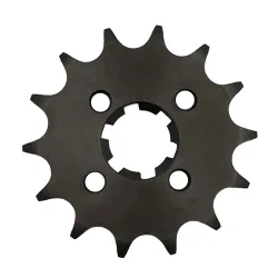 Pignone 12 Denti