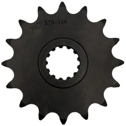 Pignone 14 Denti