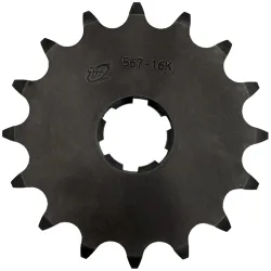 Pignone 14 Denti