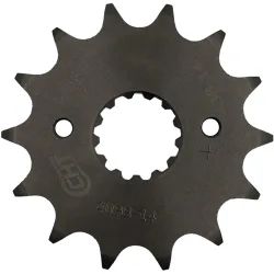 Pignone 15 Denti