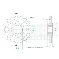 Pignone 17 denti