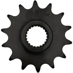 Pignone 19 Denti