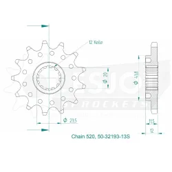 Pignone Ultralight 13 Denti
