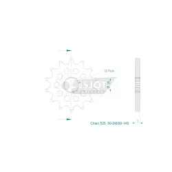 Pignone Ultralight 14 Denti